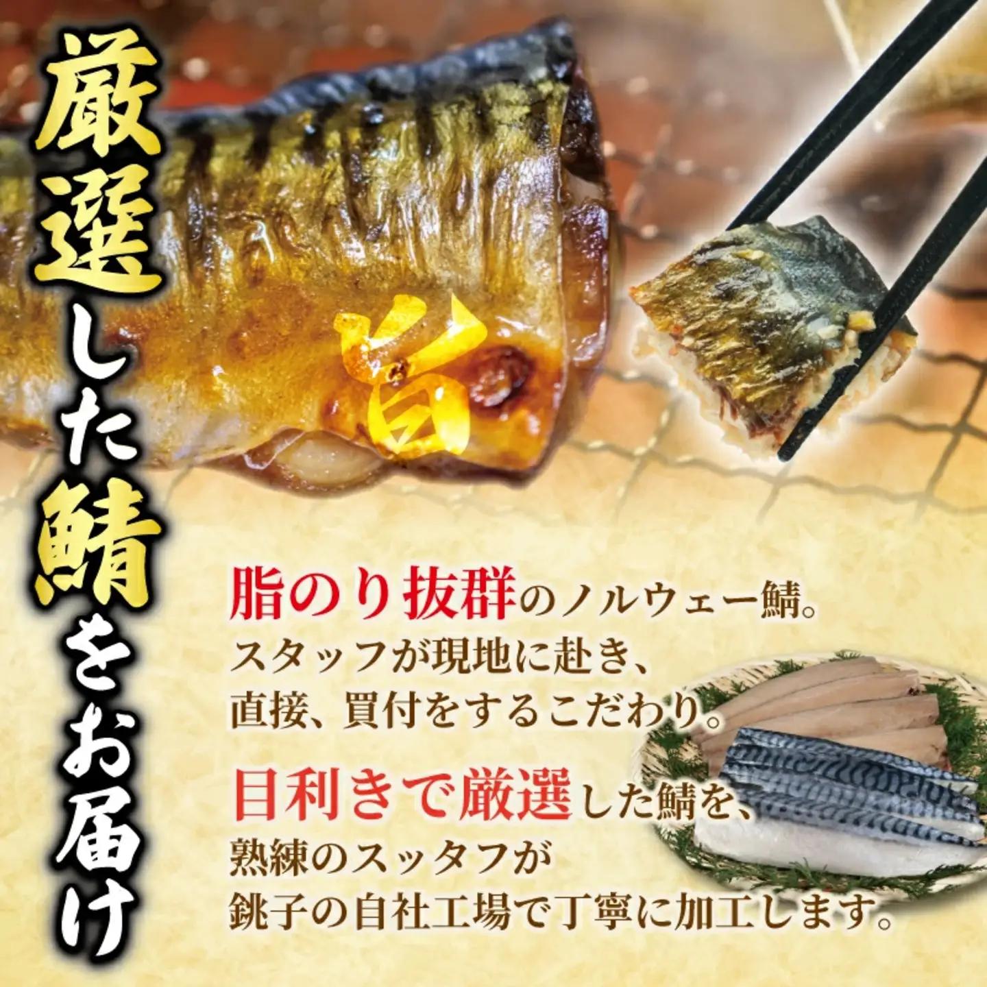 塩鯖 3kg 鯖