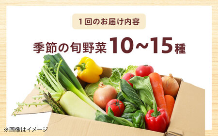 【全12回】【数量限定】厳選！旬を味わう高槻野菜おまかせ詰め合わせ定期便（10種～15種）　大阪府高槻市/高槻あぐり[AOCS021]