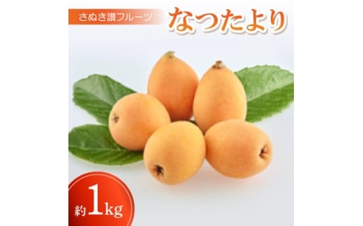 さぬき讃フルーツ「なつたより」約1kg＜令和8年5月中旬～6月下旬発送＞【1609800】