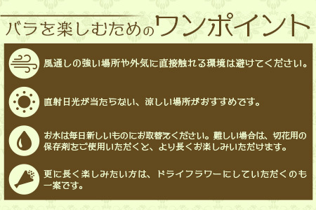【人気の春・冬薔薇をお届け】 ばら農家直送 ！ バラ花束30本以上お届け(色はおまかせ) 【ギフト対応可】TB-16 │ ローズ 新鮮 花 フラワー 花束 ばら 薔薇 バラ 誕生日 記念日 結婚祝い 
