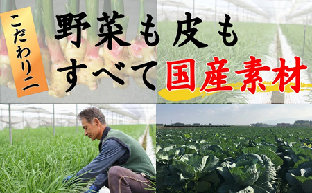 087-01-2 【ふるなびWEEK対象】国産素材にこだわった鹿児島黒豚餃子120個