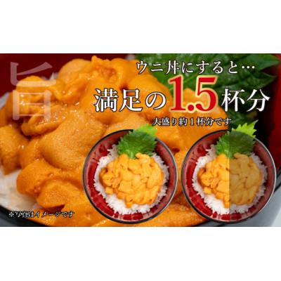 ふるさと納税 伊達市 北海道 噴火湾産 塩水 バフンウニ 100g×8パック 計800g |  | 02
