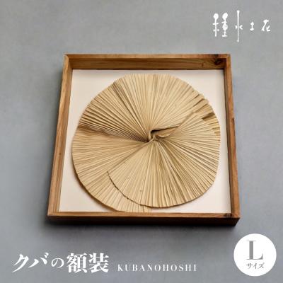 ふるさと納税 伊平屋村 クバの額装KUBANOHOSHI(ホワイト)Lサイズ