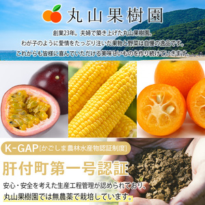 【A68002】＜先行予約受付中！5月下旬より準備が整い次第順次発送＞《期間限定》鹿児島県産 パッションフルーツ (約2.2kg・12玉入り2箱) 鹿児島 国産 トロピカルフルーツ 南国フルーツ 果実