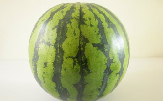 熊本産 スイカ L玉 1玉 6～7キロ フルーツ くだもの 果物 西瓜 すいか【2026年5月下旬発送開始】