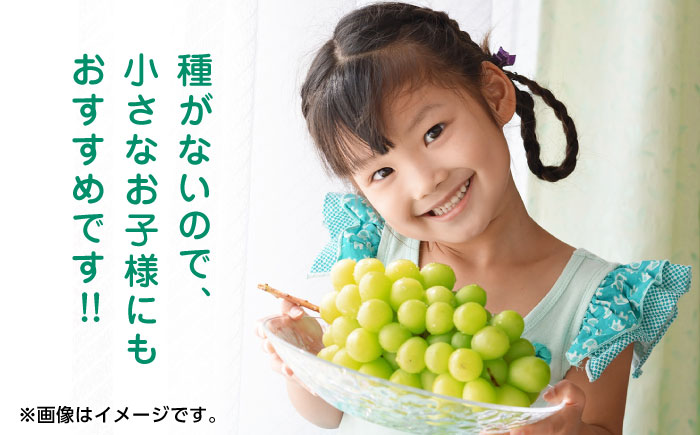 【先行予約】【数量限定】シャインマスカット 約2kg 3～5房 ぶどう 種なし【合同会社 福福堂】 [ZCN008]