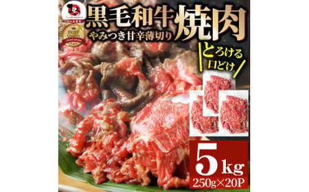 とろける黒毛和牛リッチな薄切り焼肉5kg(250g×20P)　秘伝のタレ漬け_mk146-022