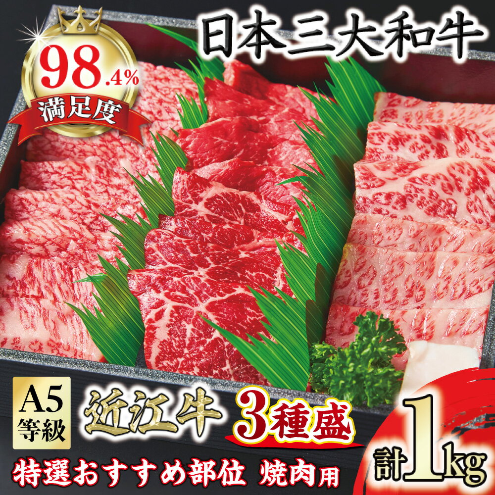 【ふるさと納税】A5等級 未経産雌 特選近江牛おすすめ部位 焼肉3種盛り合わせ 合計1kg 近江牛 国産 牛肉 近江フードJAPAN 冷凍