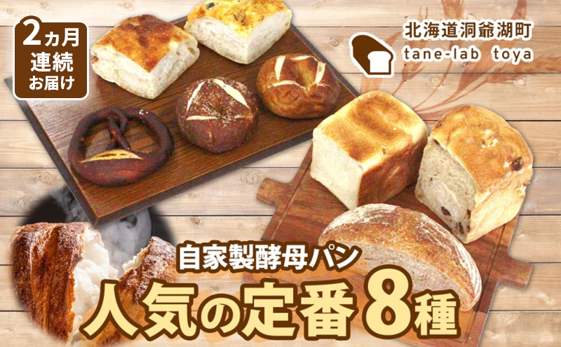 自家製酵母パン 人気の定番セット Mサイズ 2ヵ月連続お届け