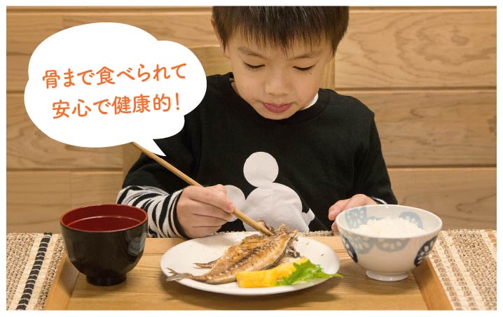壱岐産旬の干物(3~5匹) 家庭用 《壱岐市》【メイリ・キッチン】[JBD016] 16000 16000円