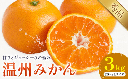 温州みかん 約3kg 日本フルーツ株式会社 熊本県 荒尾市 《11月上旬-12月上旬頃出荷》 デコポン 果物 秀品 フルーツ スイーツ デザート ギフト ご贈答