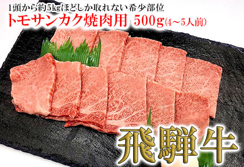 【冷凍】菊の井 飛騨牛トモサンカク焼肉 500g（4～5人前）【70-6】