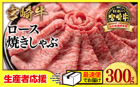 生産者応援【宮崎牛】ミヤチク　ロース焼きしゃぶ　300g＜1-33＞