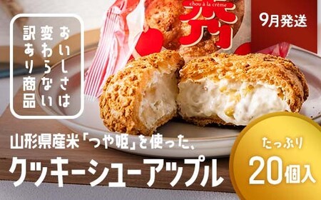≪2026年9月発送≫ 訳あり クッキーシュークリーム アップル味 20個 ご家庭用 お菓子 洋菓子 小分け スイーツ F2Y-6439