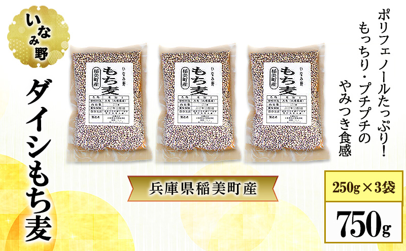 もち麦 いなみ野 ダイシもち麦 750g (250g×3袋) セット ダイシモチ 雑穀 雑穀米 もち麦ごはん 米 お米 ブレンド米 混ぜるだけ 雑穀ごはん 健康 兵庫県産 兵庫 兵庫県 稲美町