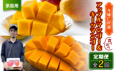 【発送月固定定期便】家庭用マンゴー2種食べ比べ(アップルマンゴー＆キーツマンゴー)全2回【配送不可地域：離島】【4074843】
