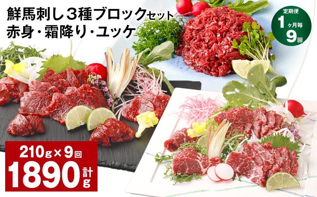 
【1ヶ月毎9回定期便】鮮馬刺し 3種ブロックセット（赤身・霜降り・ユッケ）
