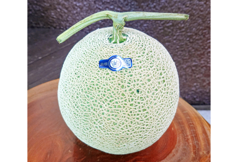 B-927 益田産アールスメロン 夏作 3~5玉