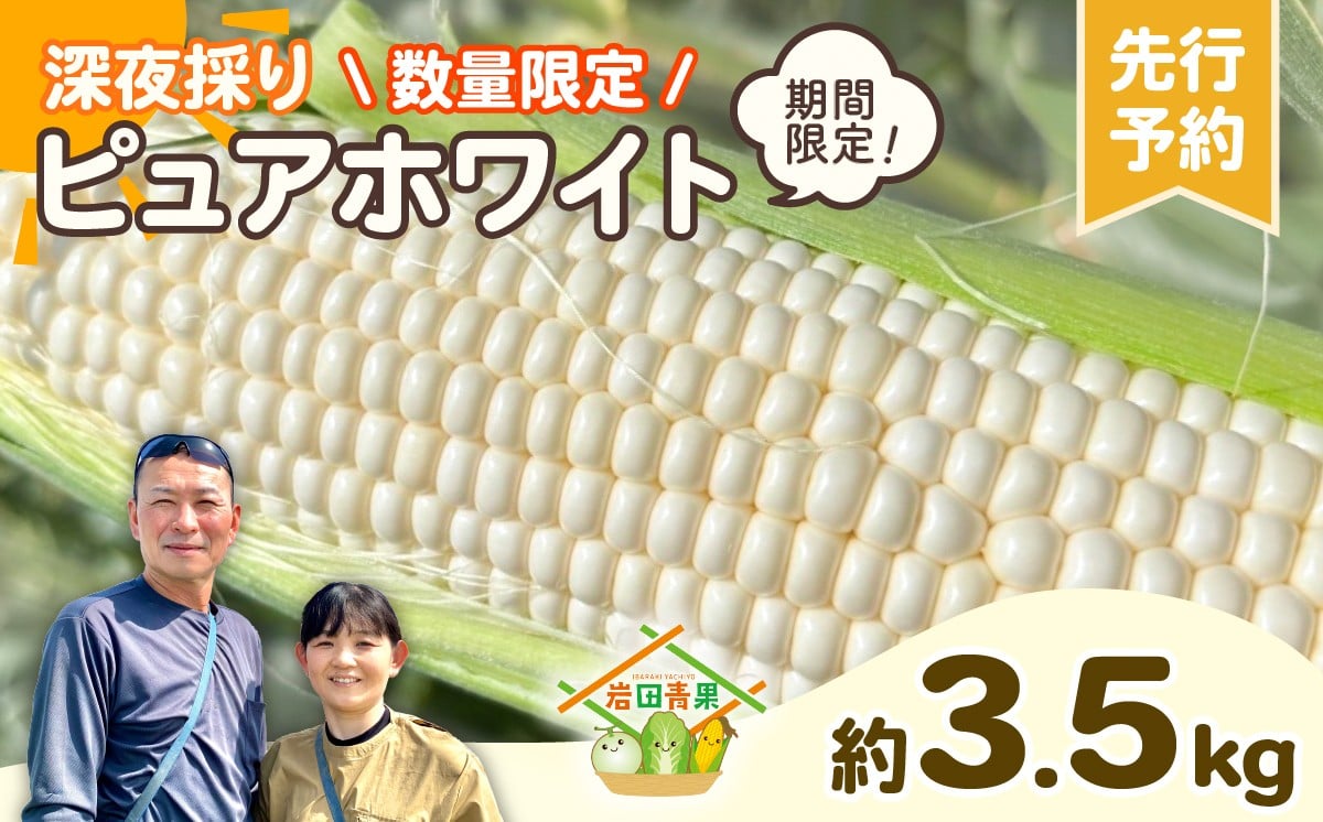 
                  【 先行予約 2026年6月下旬発送】【 令和8年産 】 深夜採り 朝出荷 白い とうもろこし ピュアホワイト 約3.5kg トウモロコシ 期間限定 甘い 生食 [AX059ya][SZRY]
                