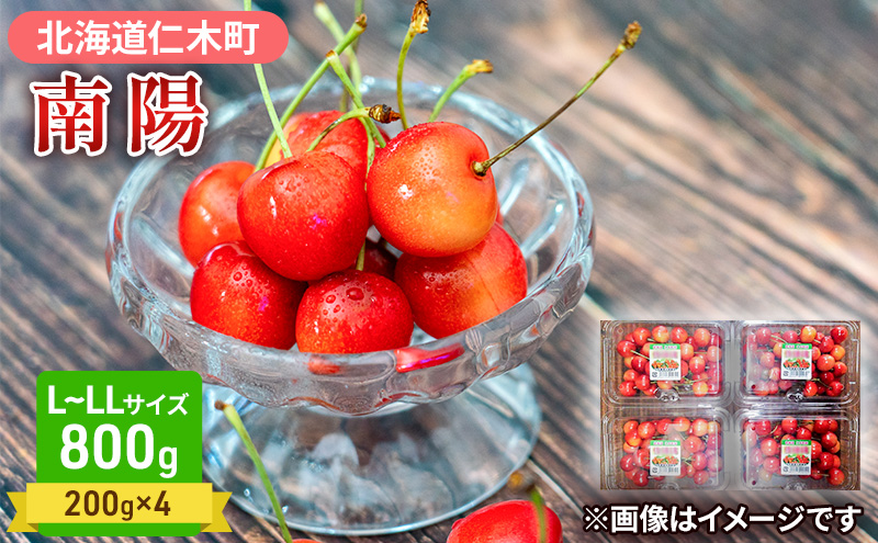さくらんぼ【 南陽 】800g（200g×4）L-LLサイズ混合  サクランボ チェリー フルーツ 果物 果物類 ギフト 北海道 仁木町 仁木 [大塚農園]
