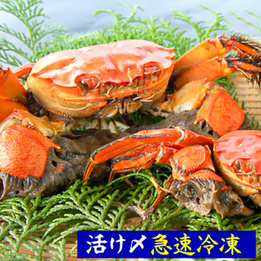 【ふるさと納税】天然モクズガニ（生冷凍）約1kg または 約2kg 選べる容量 活〆高鮮度3D急速冷凍品 モクズガニ 藻くず蟹 藻屑蟹 蟹 かに カニ オスメス混合 川ガニ カワガニ 国産 活〆 冷凍 兵庫県新温泉町 【配送不可地域：離島】【1433519】 送料無料