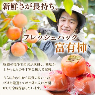 ふるさと納税 本巣市 加藤果樹園のフレッシュパック富有柿Lサイズ14個入り 低温熟成 |  | 01