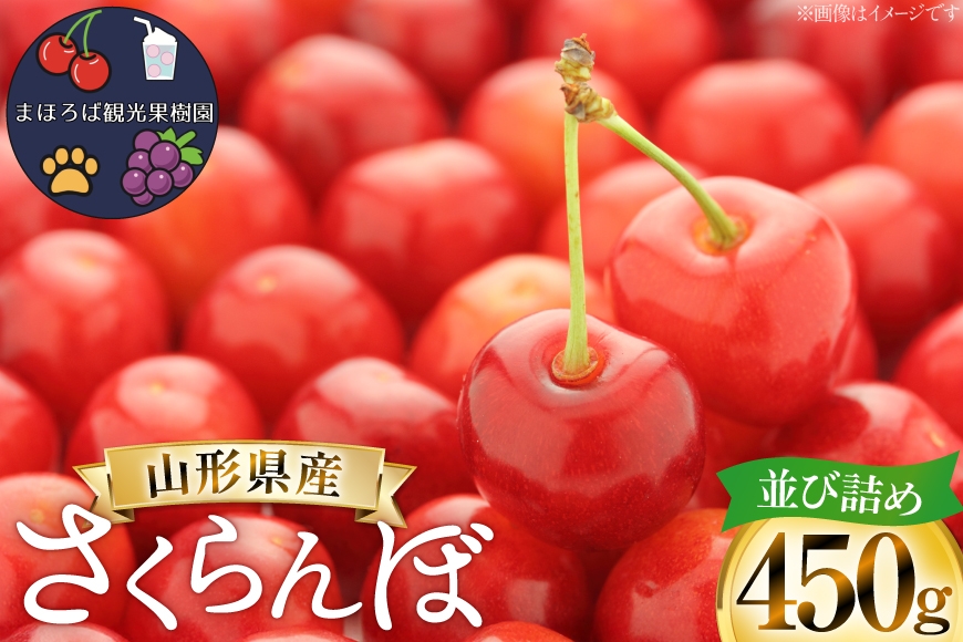 
                  【期間限定発送】 さくらんぼ 贈答 450g以上 並び詰め [まほろばかじゅ園 山形県 高畠町 tk06bim610003] サクランボ チェリー 山形 果物 フルーツ くだもの 佐藤錦 紅秀峰
                