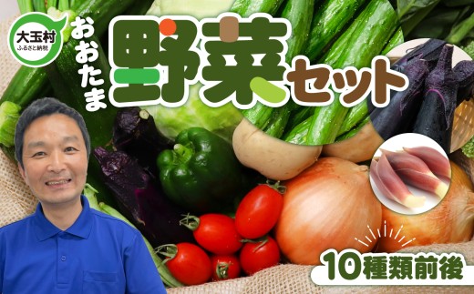リピーター続出！野菜セット 【10種類前後】 産地直送 詰め合わせ 詰め合わせ 野菜セット グルメ 野菜サラダ 冷蔵 ベジタブル 食材 春 夏 秋 冬 旬 夏野菜 スムージー ほうれん草／ねぎ／トマト／にんじん／きゅうり／じゃがいも／玉ねぎ／ピーマン