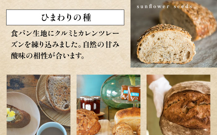 パン パンセット ベーカリー ハード系 朝食 おまかせ 小麦