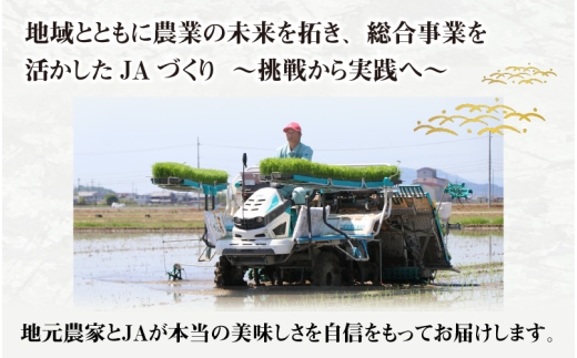【先行予約】【令和8年産新米早期予約　毎月定期配送・計3回】 BG無洗米みずかがみ5kg×3回 [F-00406] / 滋賀県産 多賀町 みずかがみ 米 お米 こめ コメ 白米 ご飯 精米 5kg 袋