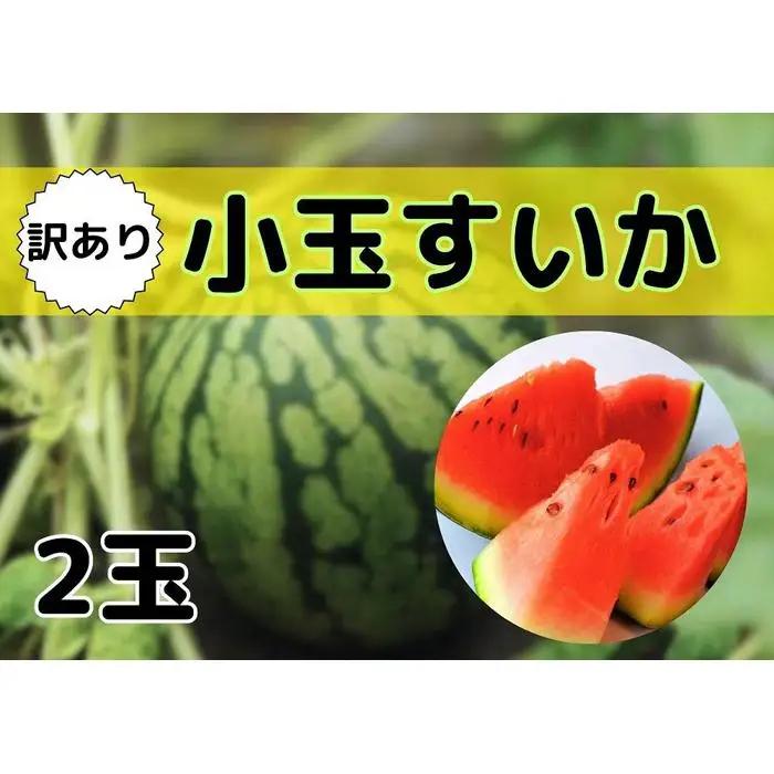 先行予約【新潟県南魚沼産】【わけあり】八色原スイカ 小玉２玉【西瓜 スイカ すいか 訳あり 小玉 季節限定 果物 フルーツ ギフト 名産地 産地直送 シャキシャキ 厳選 デザート 新潟県】【2026年7月中旬発送】【お届け日時指定不可】