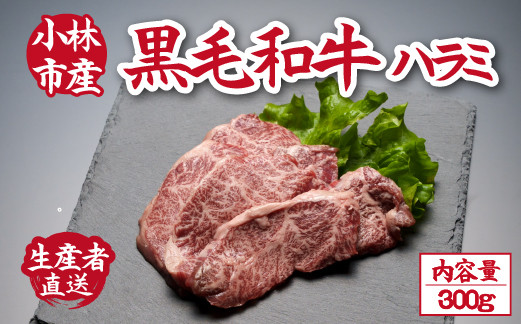 
【自社農場和牛】メス指定黒毛和牛ハラミ　300g（国産 黒毛和牛 牛肉 ハラミ 焼肉 BBQ 冷凍 送料無料）
