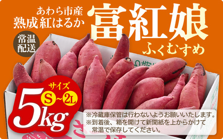 さつまいも 富紅娘（ふくむすめ）S~2Lサイズ 5kg / 紅はるか べにはるか さつま芋 国産 芋 産地直送 熟成 サツマイモ [aw108-a001]