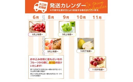 ≪先行受付≫ デリシャス６種のフルーツ盛定期便【定期便全5回】