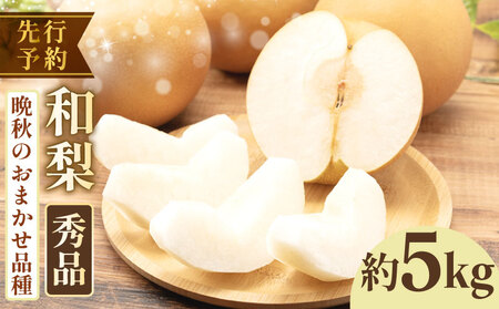 【2026年先行予約】 和梨 品種おまかせ 約 5kg