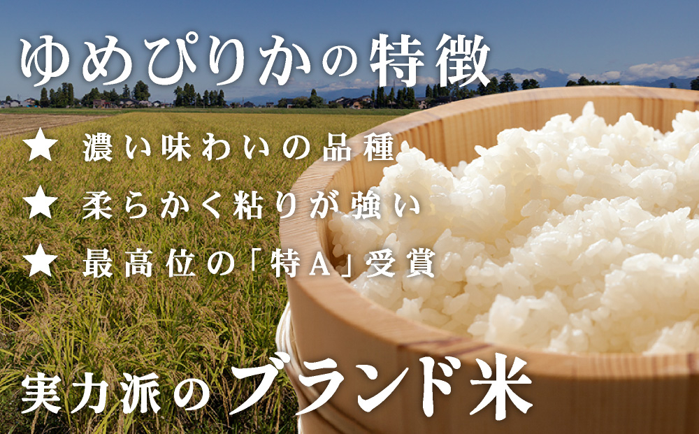令和7年産 上志文産メープル米「ゆめぴりか」10kg [a121-013-r7]