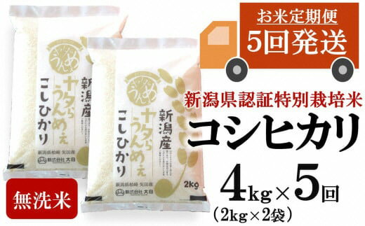 【ふるさと納税】【令和7年産米・5ヶ月定期便】コシヒカリ 無洗米 4kg（2kg×2袋）×5回（計 20kg）ヤタらうんめぇお米 水田環境鑑定士在籍[Y0507]【 新潟県 柏崎市 】