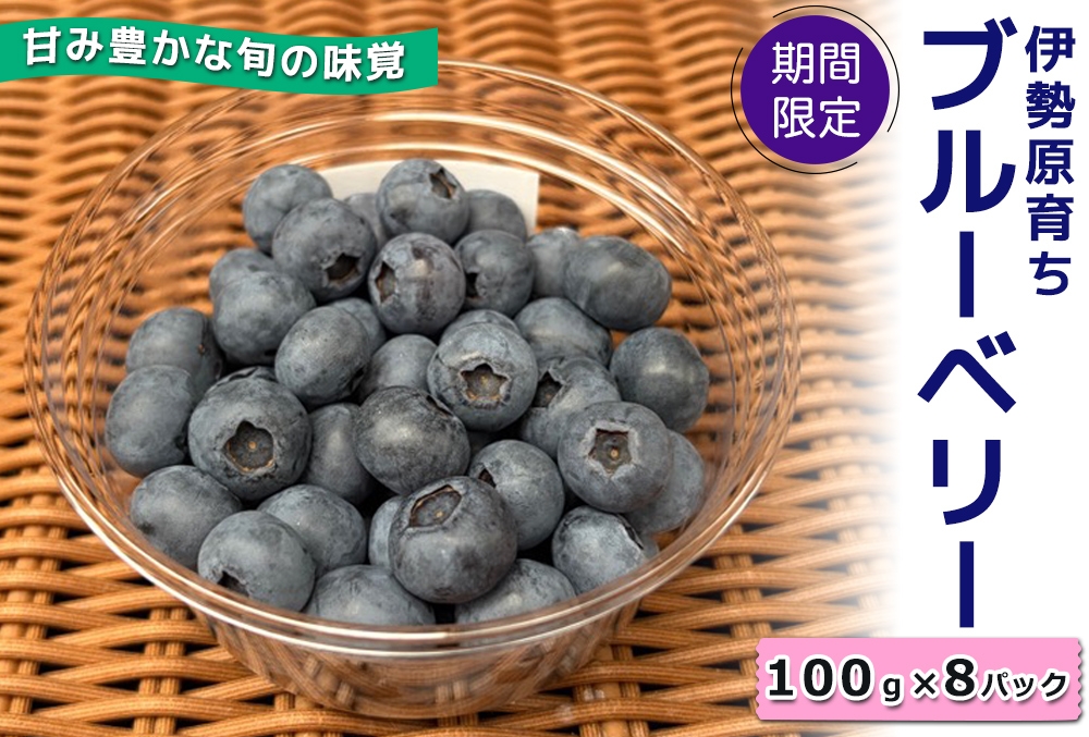
                  [期間限定] 伊勢原育ち 農薬不使用ブルーベリー 100g×8パック《甘み豊かな旬の味覚》[1184]
                
