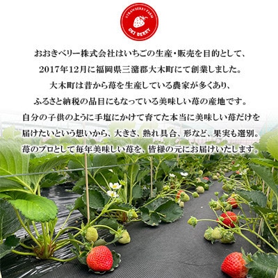 【2027年1月下旬～順次発送予定】福岡県産 あまおう 合計約540g 約270g×2パック(水巻町【配送不可地域：離島】