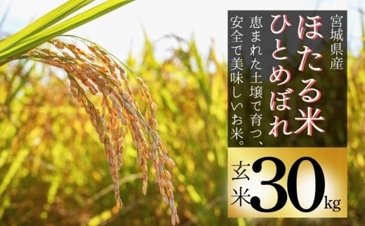 【令和7年産米】ほたる米 ひとめぼれ 玄米 30kg 特別栽培米 宮城県産 お米 ごはん 米 朝ごはん こめ コメ オンラインワンストップ 対応 自治体マイページ 宮城県 みずほファーミング