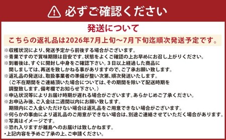 小玉スイカ 2Lサイズ以上2玉入り スイカ 西瓜 すいか 果物 フルーツ くだもの 【2026年7月上旬課～下旬迄発送予定】