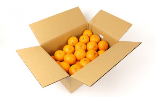 【先行予約】希少種みかん はれひめ 約5kg(25個～30個) 秀品 2025年12月中旬～2026年2月初旬頃に順次発送予定（お届け日指定不可）/ 和歌山 みかん はれひめ フルーツ 柑橘 蜜柑 果