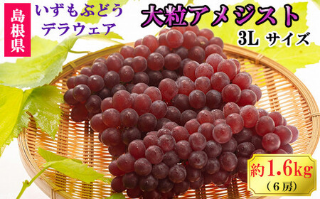 【2026年6月以降発送】いずもぶどう　デラウエア（出雲の大粒アメジスト）