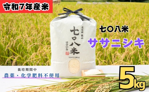 【令和7年産】七〇八米 ササニシキ 精米 5kg <栽培期間中 農薬・化学肥料不使用> (7-83) お米 コメ 白米 ご飯 長野県 信州 飯山市 令和7年 ささにしき 産地直送 農家直送 無農薬