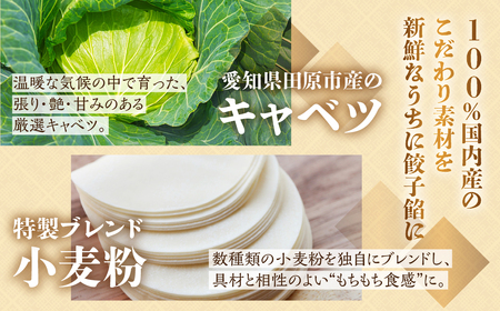 生餃子専門店「新家」 餃子 80個 |  ギョーザ