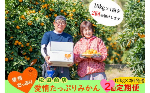 【ふるさと納税】P-90 愛情たっぷりみかん　2回定期便　みかん ミカン 蜜柑 柑橘 たらみかん 太良みかん 温州みかん 完熟みかん 国産 佐賀県産 太良町 こだわり 産地直送 贈答品 詰め合わせ セット 定期便 甘熟 極甘