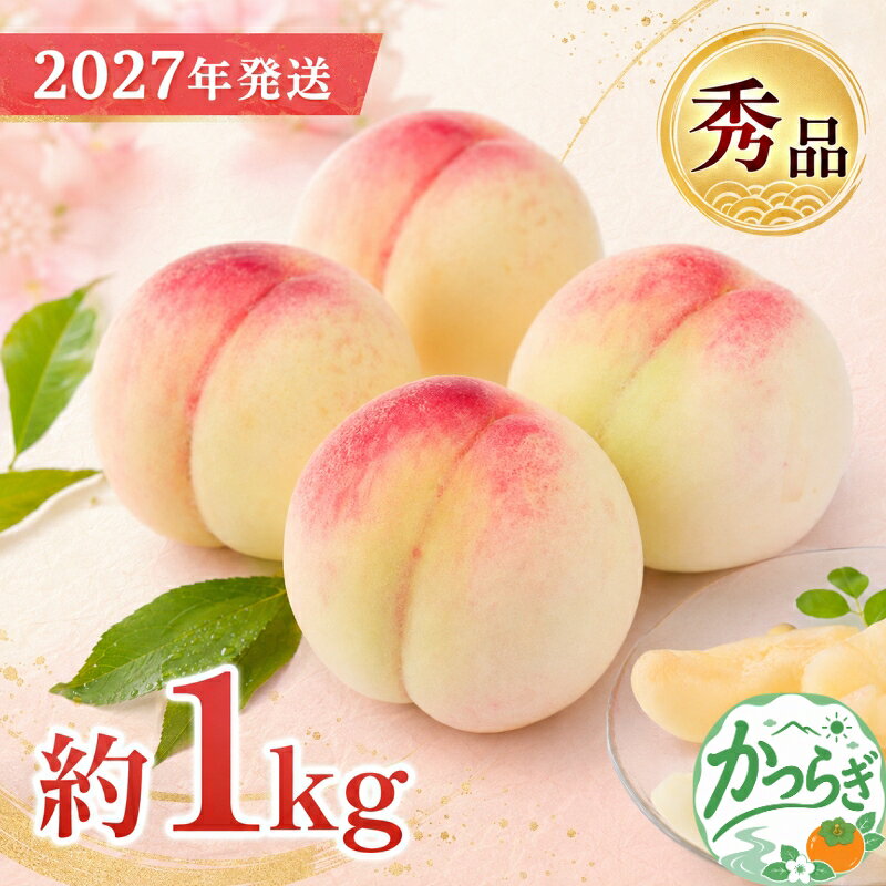 【ふるさと納税】 和歌山県産 桃 3玉〜4玉 約1kg 秀品 【2027年7月上旬～2027年8月下旬頃発送予定】【US54】 | もも 桃 モモ 秀品 1kg 甘い ジューシー ふるさと納税 和歌山 先行予約 果物 品種 送料無料 産地直送 絶品 濃厚 特産品 名産品