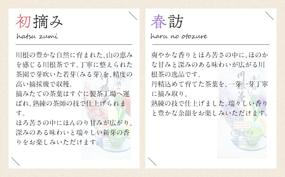 相藤園オリジナル　高級川根茶　こだわりセット