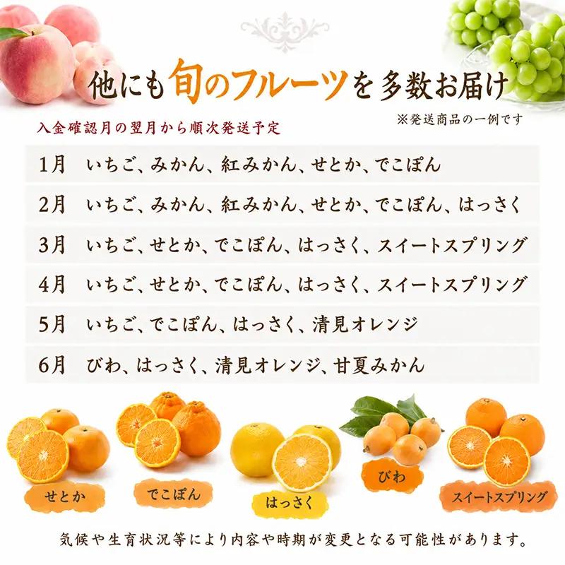 旬のフルーツ 詰合せ 丸亀讃美果 季節のフルーツ 果物