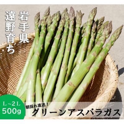 
                  アスパラガス 500g こんたでぃーの遠野【1511899】
                